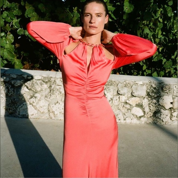 NWOT Veronica Beard Fayla Chain-Detail Dress in Watermelon sz 8 - Picture 5 of 11